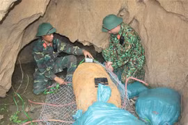 Une bombe de 500 kg neutralisée à Son La