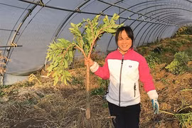 Le parcours hors normes d’une chercheuse vietnamienne