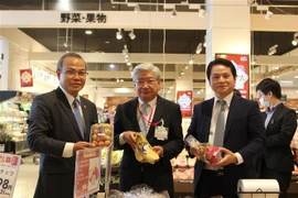 Ouverture d'une Semaine des produits vietnamiens au Japon