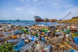 Renforcement de la communication sur la réduction des déchets en plastique