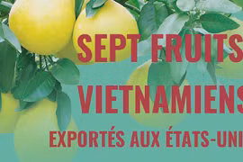 Sept fruits vietnamiens officiellement autorisés à exporter vers les États-Unis