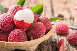 Le litchi « thieu » de Luc Ngan bénéficie de la protection des indications géographiques au Japon