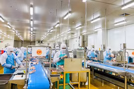 CPV Food exportera le premier lot de viande de poulet transformée vers le Japon