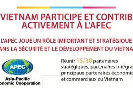 Le Vietnam participe et contribue activement à l'APEC