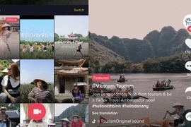 Tourisme : le Vietnam figure parmi les 25 pays les plus regardés sur Tiktok