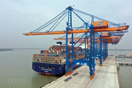 Dix mois: hausse de 30% des arrivées de navires étrangers dans les ports maritimes vietnamiens