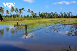 Le Delta du Mékong opte pour un développement adapté au changement climatique