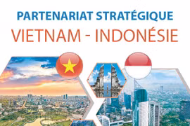 Partenariat stratégique Vietnam - Indonésie