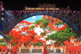 COVID-19: annulation du Festival des fleurs de flamboyants rouges de Hai Phong 2020