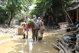 Le typhon Yagi a causé des dommages économiques estimés à 1,6 milliard de dollars au Vietnam. Photo: VNA