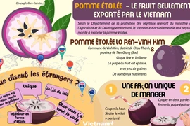 Pomme étoilée - le fruit seulement exporté par le Vietnam