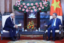 Le président Tô Lâm (droite) reçoit le vice-président de la Commission européenne Josep Borrell Fontelles. Photo: VNA