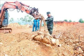 Une bombe de 340 kg laissée par la guerre a été neutralisée avec succès dans le district de Nam Dàn, province de Nghê An (Centre). Photo: VNA