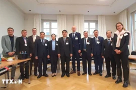 La délégation du Comité permanent de l'Assemblée nationale (AN) du Vietnam en Allemagne. Photo: VNA