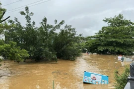 De fortes pluies prolongées ont entraîné une montée du niveau d'eau de la rivière Lo dans la province de Ha Giang, provoquant des inondations dans les maisons situées le long de la rivière et présentant un risque de noyade. Photo : VNA