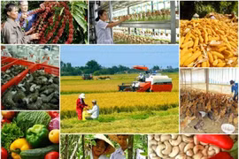 L’agriculture exporte plus de 32 milliards d’USD de produits en 2016