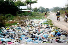 CNIM veut construire une centrale électrique fonctionnant aux déchets à Dong Nai