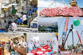 IDE : le Vietnam maintient son attractivité en 2016