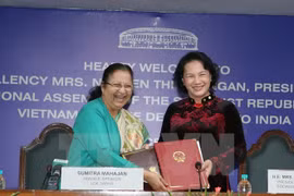 Promotion des relations entre les organes législatifs Vietnam-Inde