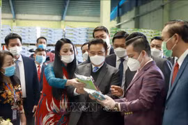 Une délégation de l’AN du Laos en visite à Vinh Phuc