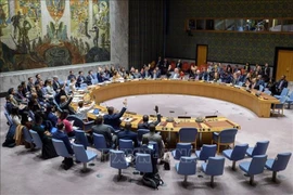 Le Vietnam affirme son rôle actif au Conseil de sécurité de l’ONU