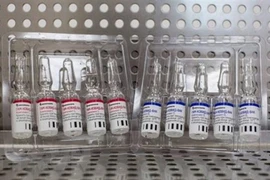 Le gouvernement accepte de négocier pour acheter 40 millions de doses du vaccin Spoutnik V
