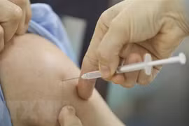 COVID-19 : aucun nouveau cas détecté au cours des 12 dernières heures