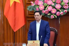 Le PM propose des mesures pour le développement de Dà Nang