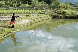 Une solution au problème de la réduction de la pauvreté