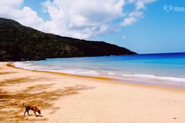  La plage de Dam Trau (Con Dao) parmi les plus belles du monde