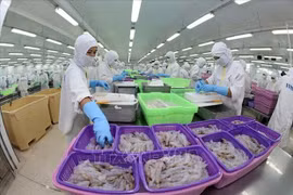Le Vietnam devient le 4e fournisseur de crevettes surgelées en Russie