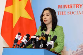 Mesures de protection des citoyens prises pour protéger les Vietnamiens à l'étranger 