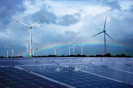 La CCIBV accompagne le Vietnam dans la croissance verte