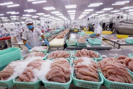 Forte hausse des exportations de produits aquatiques vers le Mexique