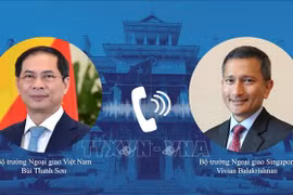 Le Vietnam apprécie le soutien de Singapour dans la lutte contre le COVID-19
