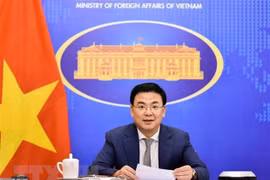 Le Vietnam promeut la coopération multiforme avec les pays africains