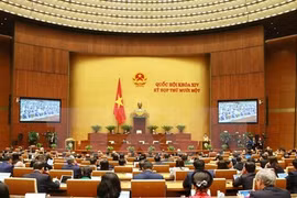 Les députés discutent du projet de rapport de travail de l’AN pendant la 14e législature