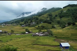 Lao Cai parmi les cinq merveilles de la nature en Asie du Sud-Est