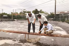 Se conformer aux lois naturelles pour un delta du Mékong durable