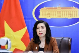 Mesures de protection des citoyens prises pour une travailleuse vietnamienne en Arabie Saoudite