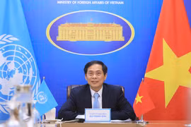 Le Vietnam attache une grande importance aux bonnes relations de coopération avec la CESAP