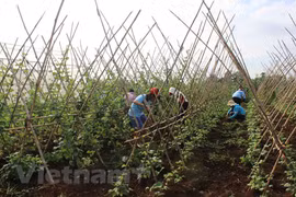 L'IPC en février connaît la plus forte hausse depuis huit ans
