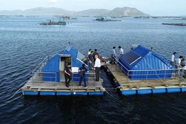 L'Australie augmente ses investissements dans l'innovation au Vietnam
