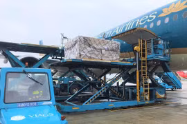 Vietnam Airlines transporte des vaccins anti-Covid-19 depuis l’Europe