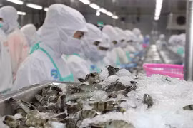 Les secteurs d’exportation de pointe exploitent les accords de libre-échange