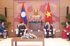 Entretien entre les présidents des Assemblées nationales du Vietnam et du Laos 