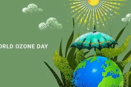 Le Vietnam se joint aux efforts mondiaux pour protéger la couche d’ozone