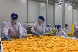 L'Australie augmente ses importations de fruits et légumes transformés du Vietnam