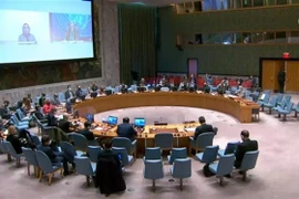 Le Vietnam à des débats sur la réforme du Conseil de sécurité et la situation en Libye