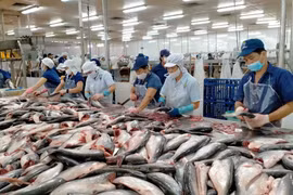Le Mexique devient le premier débouché des pangasius du Vietnam en Amérique latine